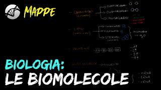 MAPPA Biologia  Le Biomolecole [upl. by Nolyat]