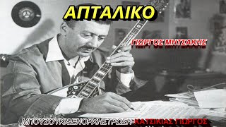 ΑΠΤΑΛΙΚΟΓΙΩΡΓΟΣ ΜΗΤΣΑΚΗΣΟΡΧΗΣΤΡΙΚΟ ΜΠΟΥΖΟΥΚΙampΕΝΟΡΧΗΣΤΡΩΣΗ ΚΑΤΣΙΚΙΑΣ ΓΙΩΡΓΟΣ [upl. by Nahk857]