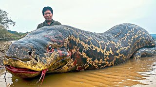 This River is 100 Times More Dangerous Than Amazon River [upl. by Ytsirhk]