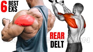 6 BEST REAR DELTOID EXERCISES AT GYM [upl. by Myrle]