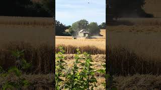 Combine Harvester  In the South Downs National Park harvesting the crops [upl. by Enerod]