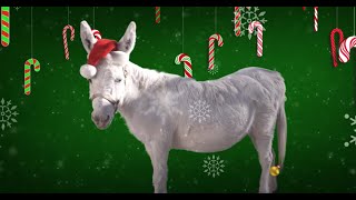 Lou Monte  Dominick The Donkey Official Lyric Video [upl. by Nortad619]