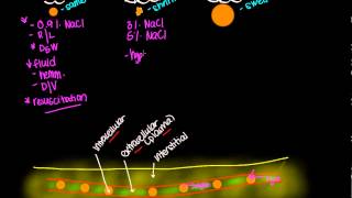 IV fluid tonicity Isotonic solutions Hypotonic solutions and Hypertonic solutions [upl. by Ylrehs]