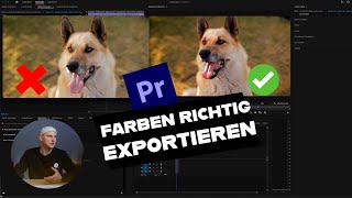 EXPORT EINSTELLUNGEN PREMIERE PRO 🎨  FARBEN RICHTIG EXPORTIEREN  Fitchgallery [upl. by Yvehc417]