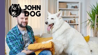 Jak nauczyć psa wycierania łap  TRENING PSA  John Dog [upl. by Eduj411]