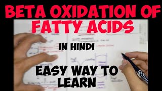 BetaOxidation of Fatty Acids in hindi  Lipid Metabolism  Biochemistry [upl. by Kathi]