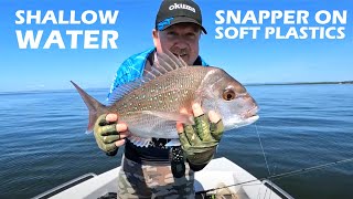 Shallow Water Snapper Fishing with Soft Plastics  Just a Fun Session Fishing with My Dad [upl. by Sennahoj133]