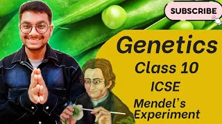 Genetics 🧬  PART4 Mendels Experiment On Garden Pea 🫛  biology [upl. by Nahraf]