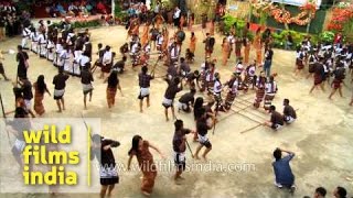 Cheraw dance followed by Buhzai and Solakia dance  Anthurium Fest [upl. by Nnauol417]