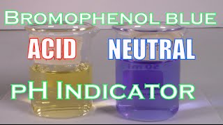 How to Make A Bromophenol Blue Solution pH Indicator [upl. by Ttoile]