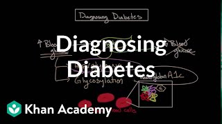 Diagnosing diabetes  Endocrine system diseases  NCLEXRN  Khan Academy [upl. by Read915]