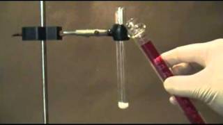 Make Glacial Acetic acid using 98 Sulfuric acid [upl. by Ahtelra357]