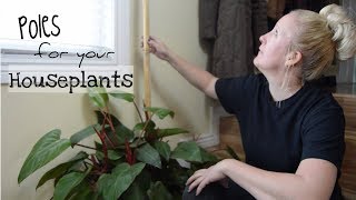 How To Make amp Install a Moss Totem for Houseplants  Totem Pole Indoor Plants [upl. by Karyl]