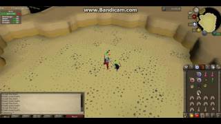 OSRS Quest Boss  Monkey Madness 2  Kruk lvl 149 NOT A GUIDE [upl. by Stoeber974]