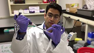 Quick Tips for PCR [upl. by Hussein]