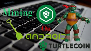 Mining TurtleCoin TRTL on Android [upl. by Eneleh168]