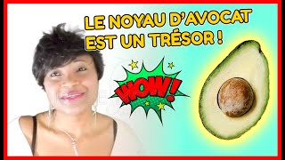 voici tout ce que vous ne saviez pas sur le noyau davocat 🥑 [upl. by Asamot]