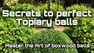 Topiary boxwood ball Tutorial  Trimming Tips topiarytutorial boxwoodballs topiaryballtrimming [upl. by Negriv]