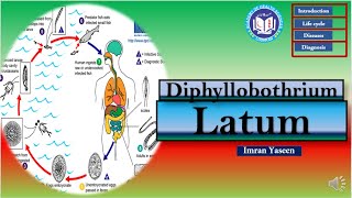 Diphyllobothrium latum a fish worm causes megaloblastic anemia  Parasitology  by Imran Yaseen [upl. by Inwat]