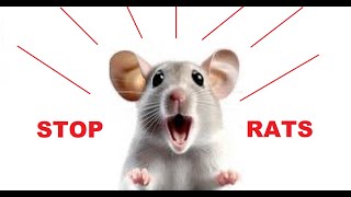 How to get rid of mice  Very high pitched sound that keeps mice away  RODENT CONTROL [upl. by Raffaj]