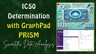 IC50 Determination with GraphPad PRISM  Data Analysis Tutorial [upl. by Sanfo]