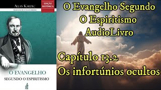 Os Infortúnios ocultos  Capítulo 132  Evangelho Segundo o Espiritismo  Audiobook [upl. by Nauaj694]