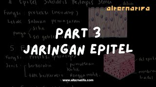 Jaringan Hewan Epitel Bagian 3  Biologi  Alternatifa [upl. by Helbonna893]