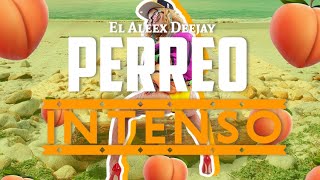 PERREO INTENSO 🍑  EL ALEEX DEEJAY [upl. by Gilroy873]