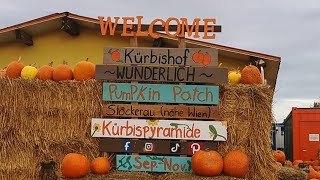 Pumpkin Patch Stockerau  Kürbishof [upl. by Dazraf]