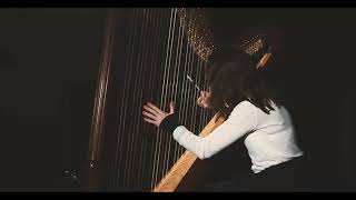 Rameau Le Rappel des Oiseaux Anastasia Razvalyaeva harp [upl. by Giulio]