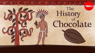 The history of chocolate  Deanna Pucciarelli [upl. by Towbin912]