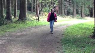 GEOCACHING in Wolfwil Trailer [upl. by Patricio]