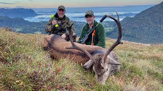 Hjortejakt i Møre og Romsdal Hunting red stag in Norway [upl. by Acnaiv]