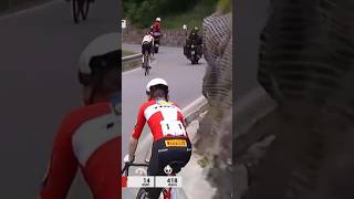 Cycling race 🔝💥 cycling sports automobile cyclingsport cyclin mtb bikelife roadcycling [upl. by Ahgem294]