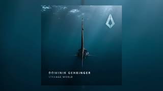 Dominik Gehringer  Strange World [upl. by Crist726]