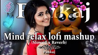 Mind Relax song Mashup lofi Bollywood song Slowed  Reverb  lofi ✨lofrelaxingmusicmashup [upl. by Lona]