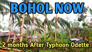 Danao Bohol now  2 months after typhoon Odette  Bangon Bohol [upl. by Airdnat889]