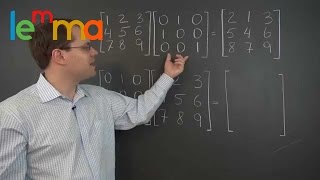 Linear Algebra 11h A Few Matrix Multiplication Examples [upl. by Aryek]