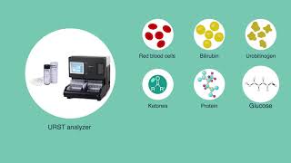 Internal Quality Control for Urine Reagent Strip Tests Ann Lab Med [upl. by Otero676]