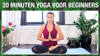 20 min Yoga voor Beginners  YOGA MET MILOU [upl. by Nikolas]