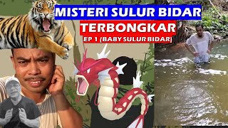 MISTERI SULUR BIDAR TERBONGKAR parody parodi dukun dukunsantet [upl. by Golanka]