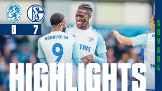 Sylla mit DebütDOPPELPACK  HIGHLIGHTS  SSVg Velbert  FC Schalke 04 07 [upl. by Yerggoeg]