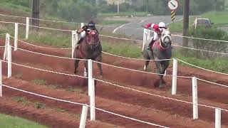 6 ELIMINATORIA  GP SEMANA FARROUPILHA  500M  HELLFIRE  PALMEIRA DAS MISSOES [upl. by Aisac]