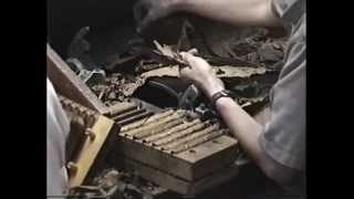 How Good Cigars are Hand Rolled hand made cigarsDominican Republic [upl. by Rozek]