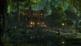 Swamp Sounds at Night  Frogs Crickets Light Rain Forest Nature Sounds [upl. by Noscire]