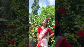 🍄Beya napabi dei trending assamese song🧚🏻‍♂️ dance [upl. by Enywtna759]