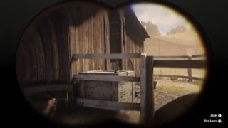 Red Dead Redemption 2  RDR2  LEGHORN ROOSTER  LOCATION  ZOOLOGIST 26 [upl. by Bible637]