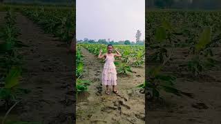 Vaishnavi ne dekha Banana 🍌 tree 🌴trending youtubeshorts viralcute video 💖💖 [upl. by Annalee977]