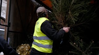 Chambéry  Grand Chambéry organise la collecte des sapins de Noël [upl. by Adin]