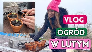 LUTY W OGRODZIE VLOG  Pelargonie Jaskry Prace ogrodowe w lutym w działaniu [upl. by Francoise562]